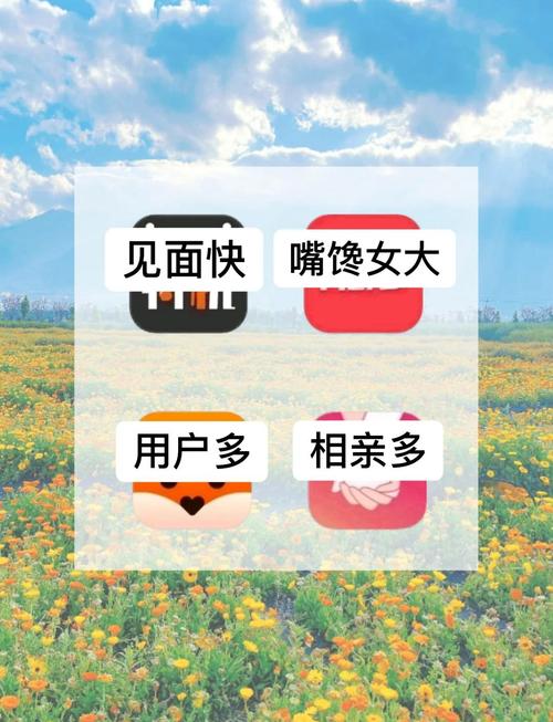 免费跨国聊天app安卓,2021免费跨国聊天app