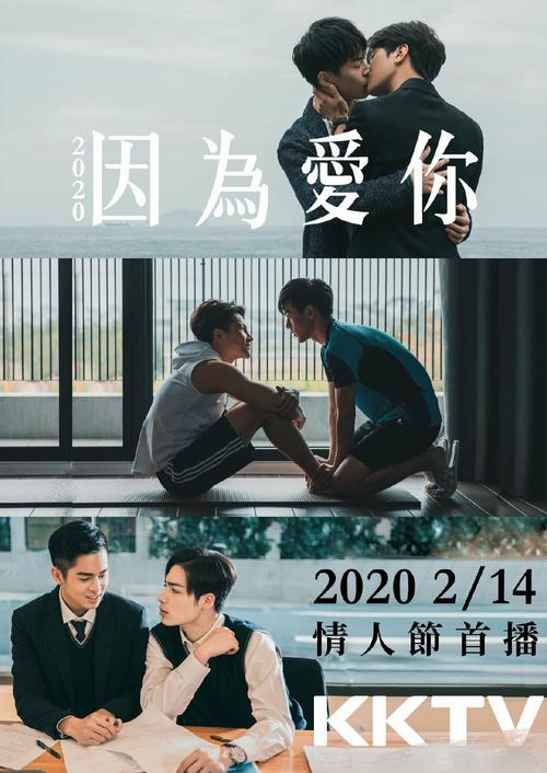 什么是爱电影,什么是爱电视剧