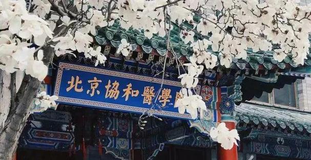 协和医学院4+4临床试验班,协和医学院4+4临床试验班是什么