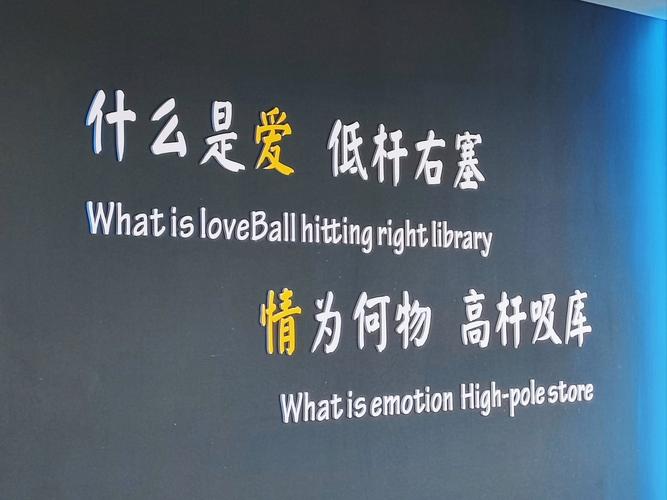 什么叫爱,什么叫爱豆