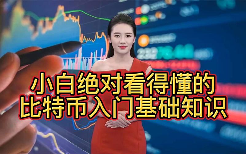 比特币基础知识,比特币基础知识视频