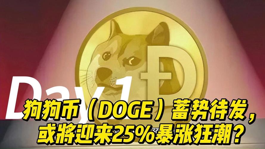 今年狗狗币最高涨到多少美元,2021年狗狗币最高价是多少