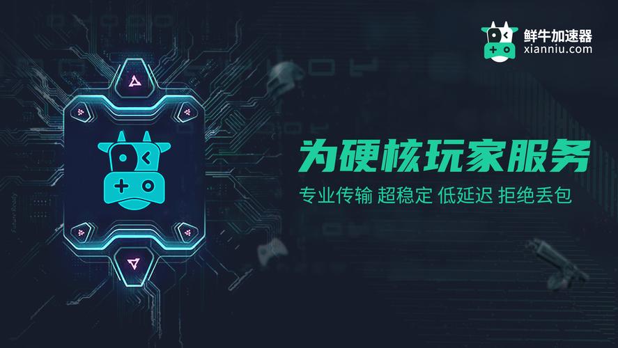 小牛加速器官网下载,小牛加速器官网下载安装NPV