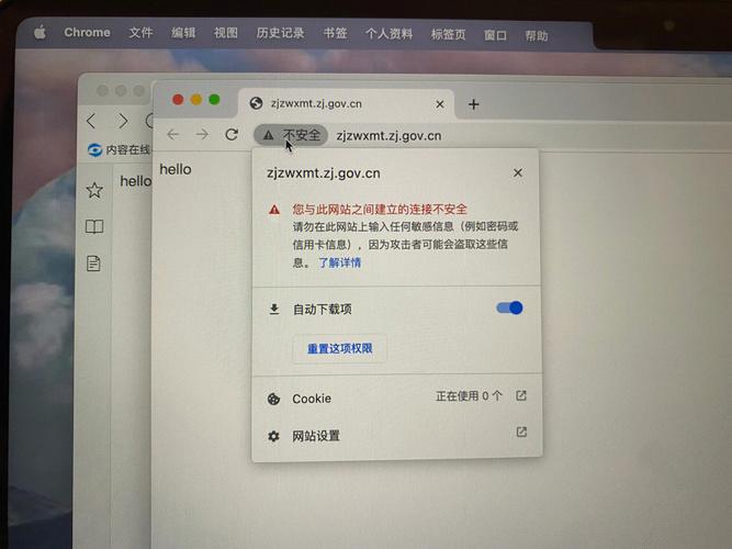 电脑用谷歌浏览器,电脑用谷歌浏览器打不开网页