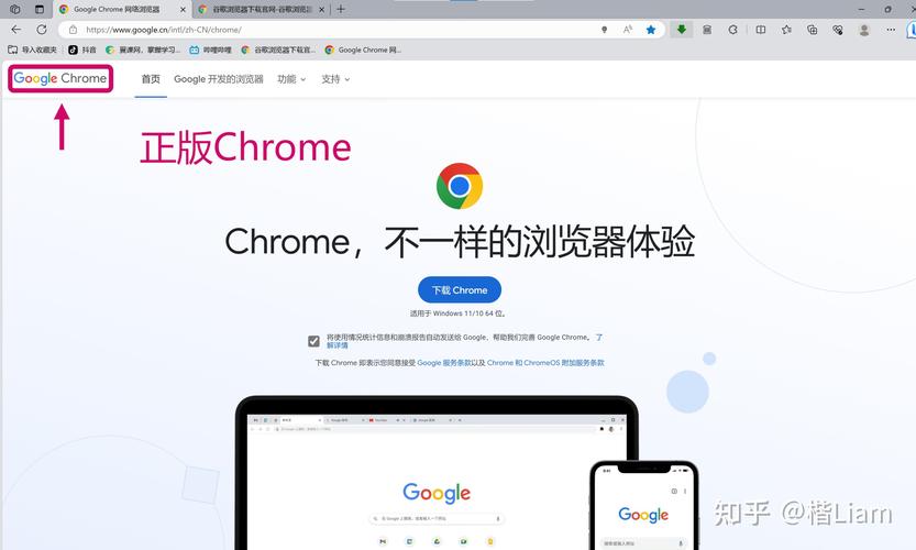 chrome官方网站,chrome官方网站网址