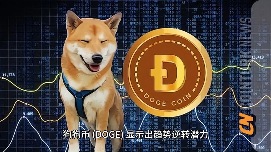 狗狗币下载官方app,狗狗币网下载官方app