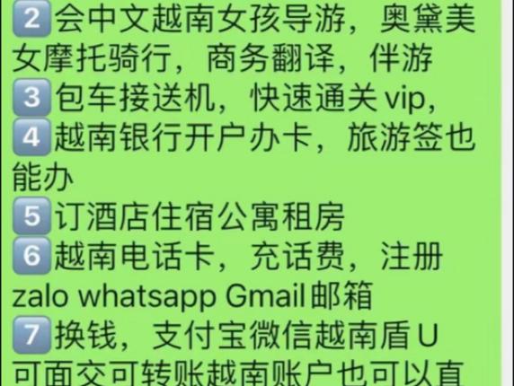 越南zalo翻译成中文软件,越南翻译成中文的软件哪个好用