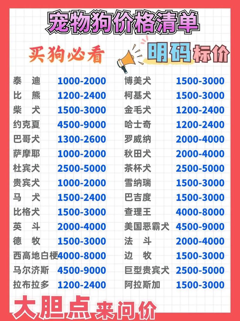 狗狗币多少钱一个人民币,狗狗币现在多少人民币一个