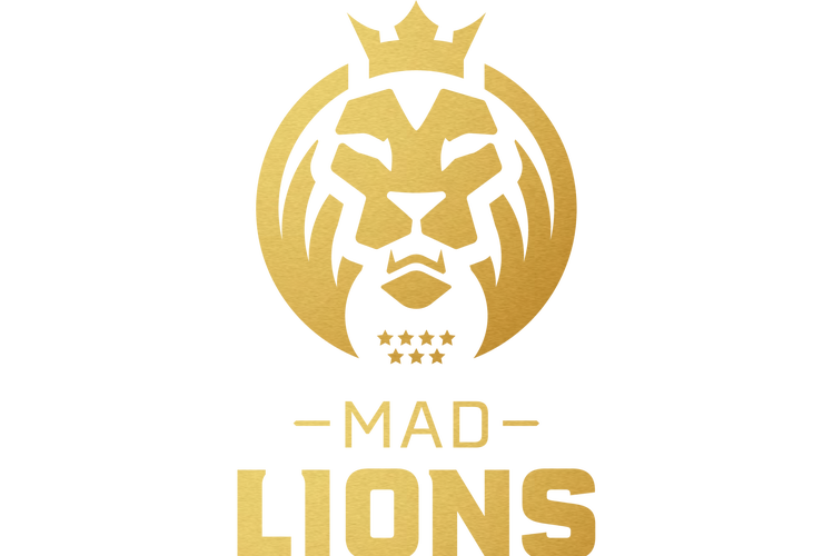 lion平台,平台联盟平台什么意思?