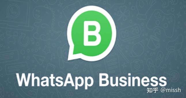 包含whatsappbusinessappdownload的词条