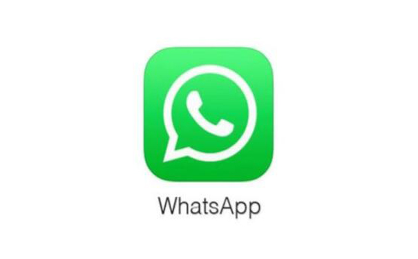 Whatsapp官网网址、whatsapp online