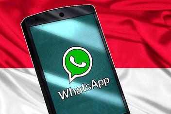 包含whatsapp在下载能用吗2019的词条