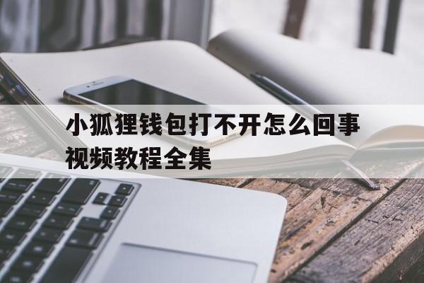 小狐狸钱包打不开怎么回事视频教程全集、小狐狸钱包打不开怎么回事视频教程全集免费