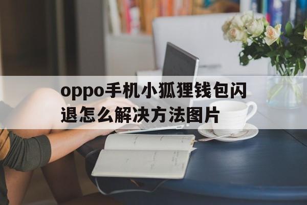 oppo手机小狐狸钱包闪退怎么解决方法图片、oppo手机小狐狸钱包闪退怎么解决方法图片不显示