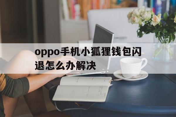 oppo手机小狐狸钱包闪退怎么办解决、oppo手机小狐狸钱包闪退怎么办解决视频