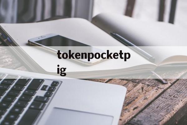 tokenpocketpig、besidethepoint翻译