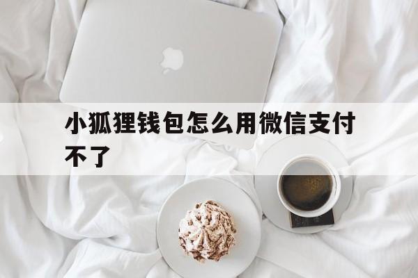 小狐狸钱包怎么用微信支付不了、小狐狸钱包怎么用微信支付不了钱