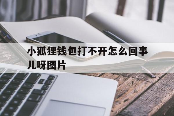 小狐狸钱包打不开怎么回事儿呀图片、小狐狸钱包打不开怎么回事儿呀图片视频