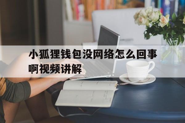 关于小狐狸钱包没网络怎么回事啊视频讲解的信息