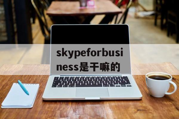 skypeforbusiness是干嘛的、skype for business是什么