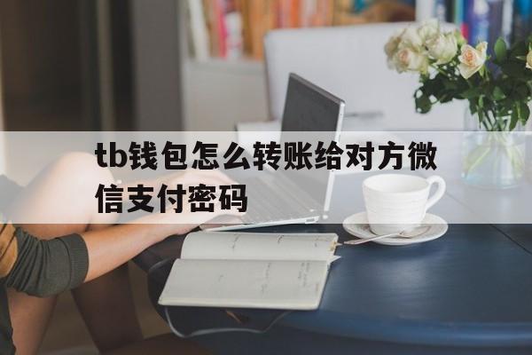 tb钱包怎么转账给对方微信支付密码、tb钱包怎么转账给对方微信支付密码忘了