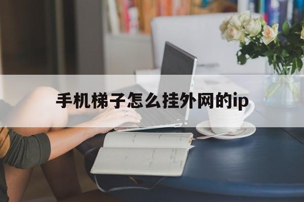 手机梯子怎么挂外网的ip、手机怎么挂梯子上外网 百度经验