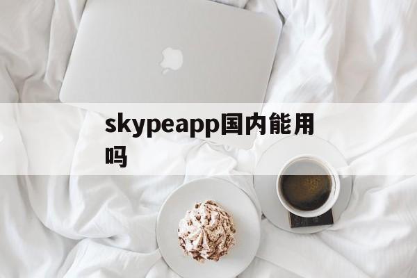 skypeapp国内能用吗、skype国内版能和国外联系吗