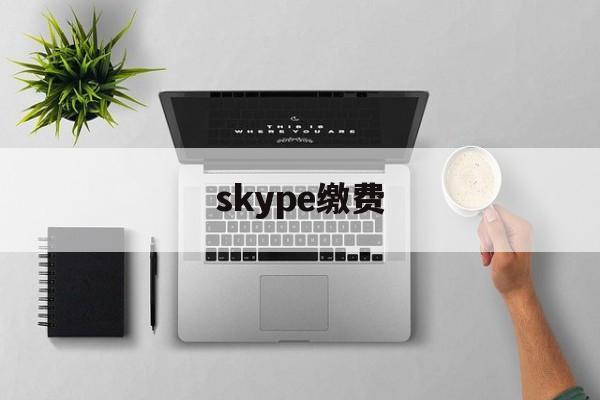 skype缴费、skype在线充值