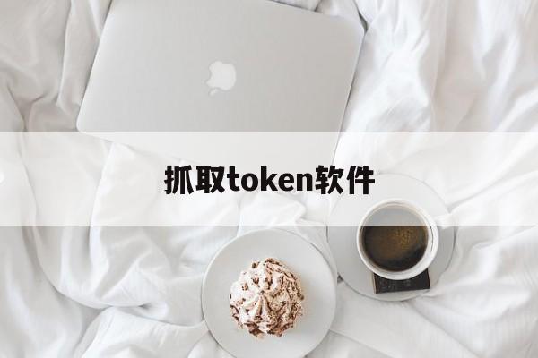 抓取token软件、token_api抓包