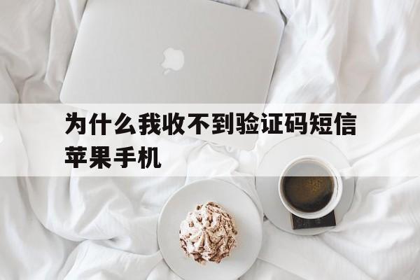 为什么我收不到验证码短信苹果手机、为什么我的iphone收不到短信验证码