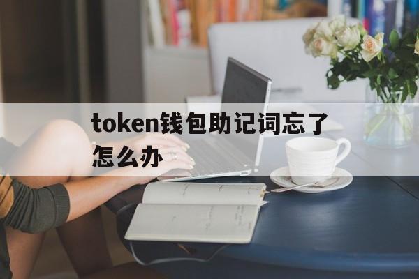 token钱包助记词忘了怎么办、token pocket钱包助记词