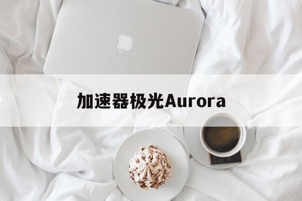 关于加速器极光Aurora的信息