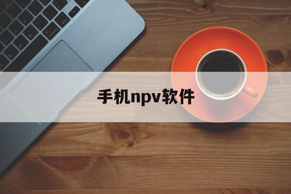 手机npv软件、npv加速器软件