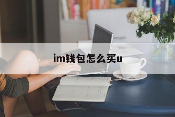 im钱包怎么买u、im钱包里的u突然被转走