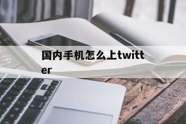 国内手机怎么上twitter、国内手机怎么上twitter软件苹果