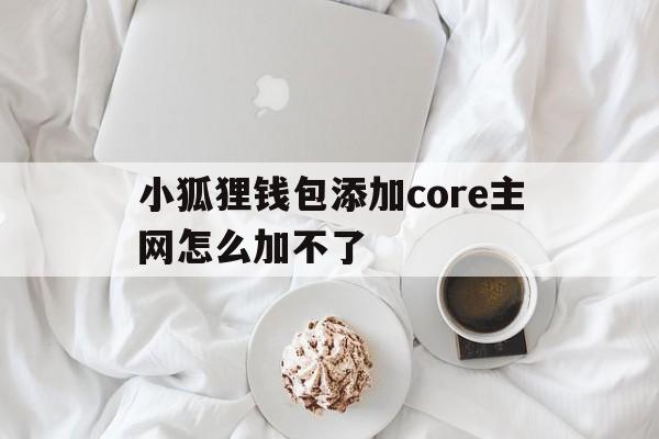 小狐狸钱包添加core主网怎么加不了的简单介绍