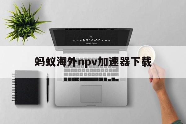 蚂蚁海外npv加速器下载、蚂蚁ant加速器官网134