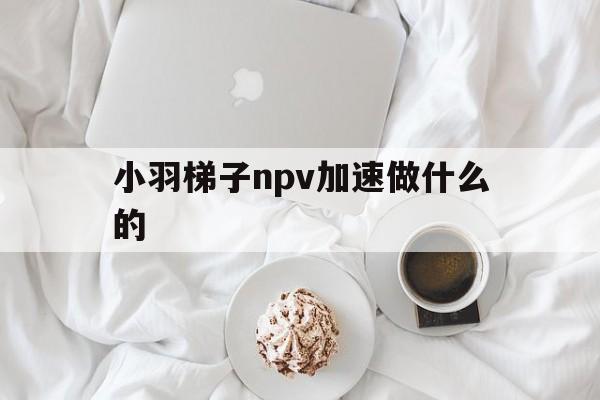 小羽梯子npv加速做什么的的简单介绍