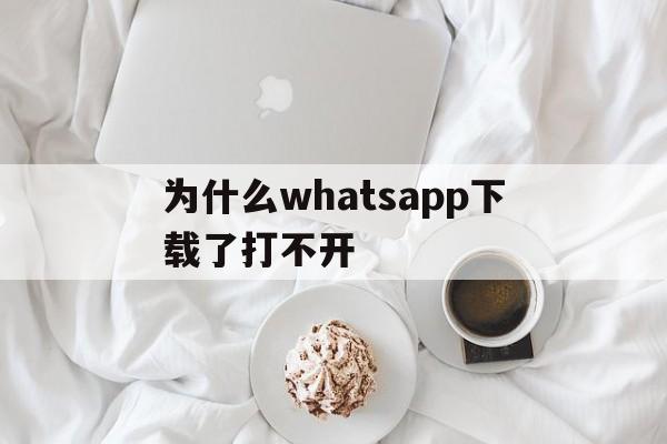 为什么whatsapp下载了打不开、下载了whatsapp,为什么用不了