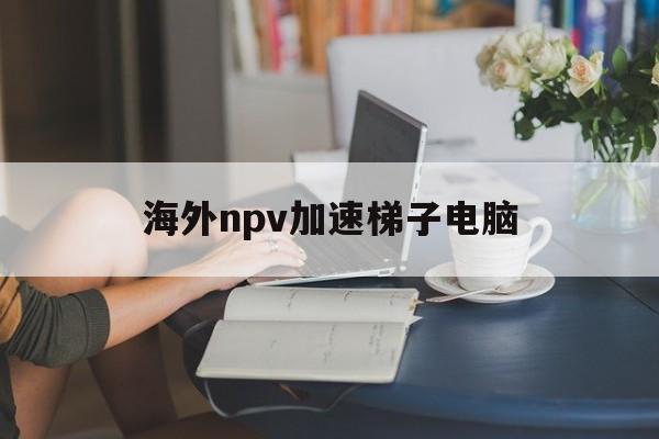 海外npv加速梯子电脑的简单介绍