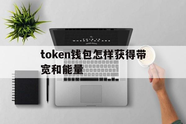 包含token钱包怎样获得带宽和能量的词条