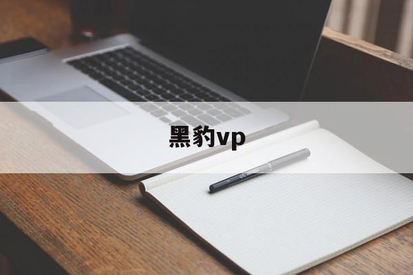 黑豹vp、黑豹vp官网