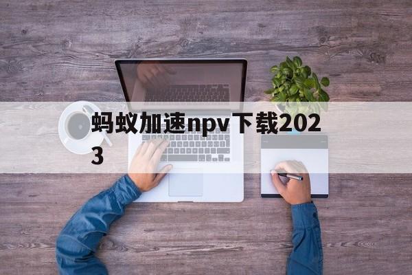 蚂蚁加速npv下载2023、蚂蚁ant加速器官网134