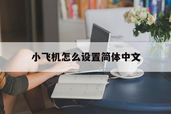 小飞机怎么设置简体中文、telegreat怎么转中文