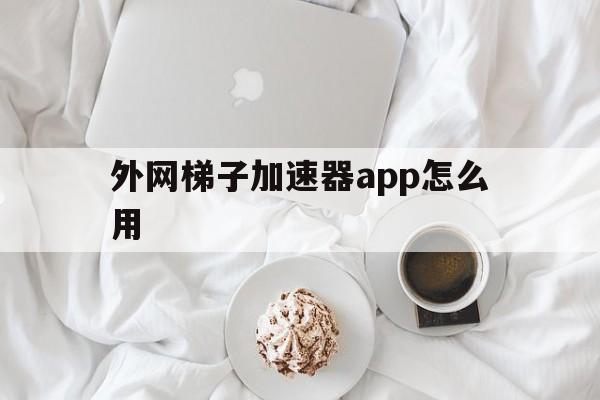 外网梯子加速器app怎么用、外网梯子加速器app怎么用不了