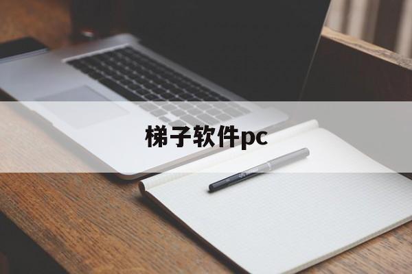 梯子软件pc、梯子软件排行榜前十名