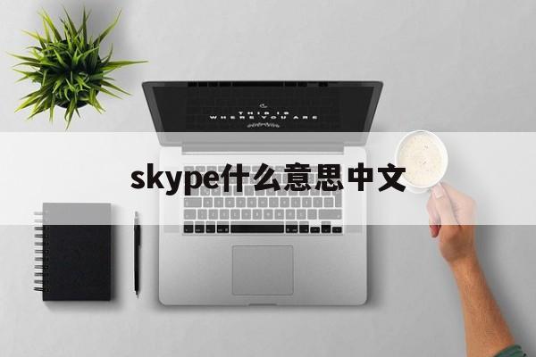 skype什么意思中文、skype什么意思中文翻译