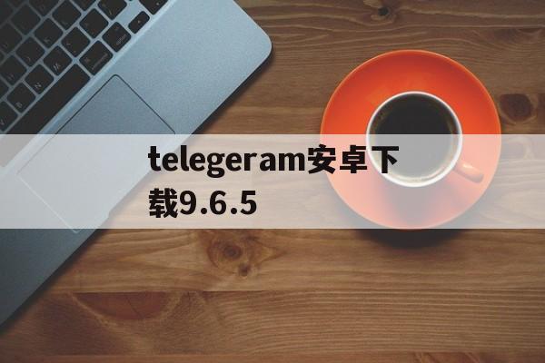 telegeram安卓下载9.6.5、telegreat安卓中文版496下载