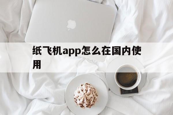 纸飞机app怎么在国内使用、纸飞机这个app国内可以用吗?