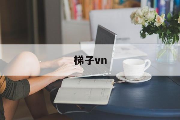 梯子vn、梯子VRN